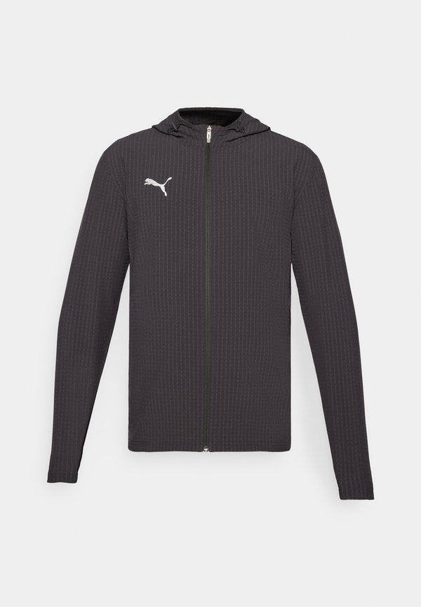 Puma TEAM ADDITIONS JACKET - Training jacket - black/silver-coloured