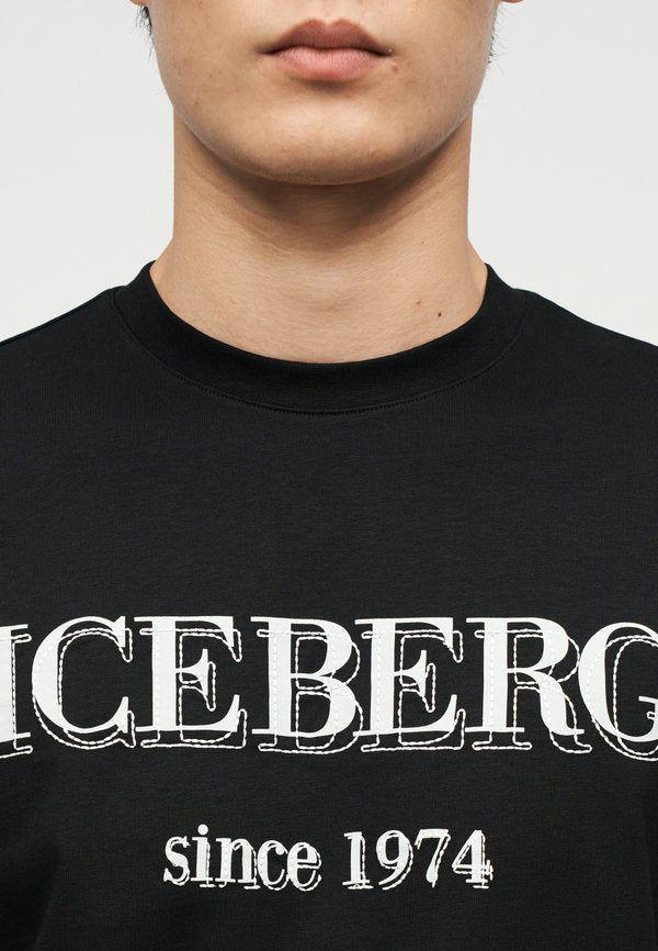 Iceberg