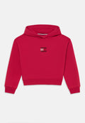 RHINESTONE FLAG HOODIE Media 1
