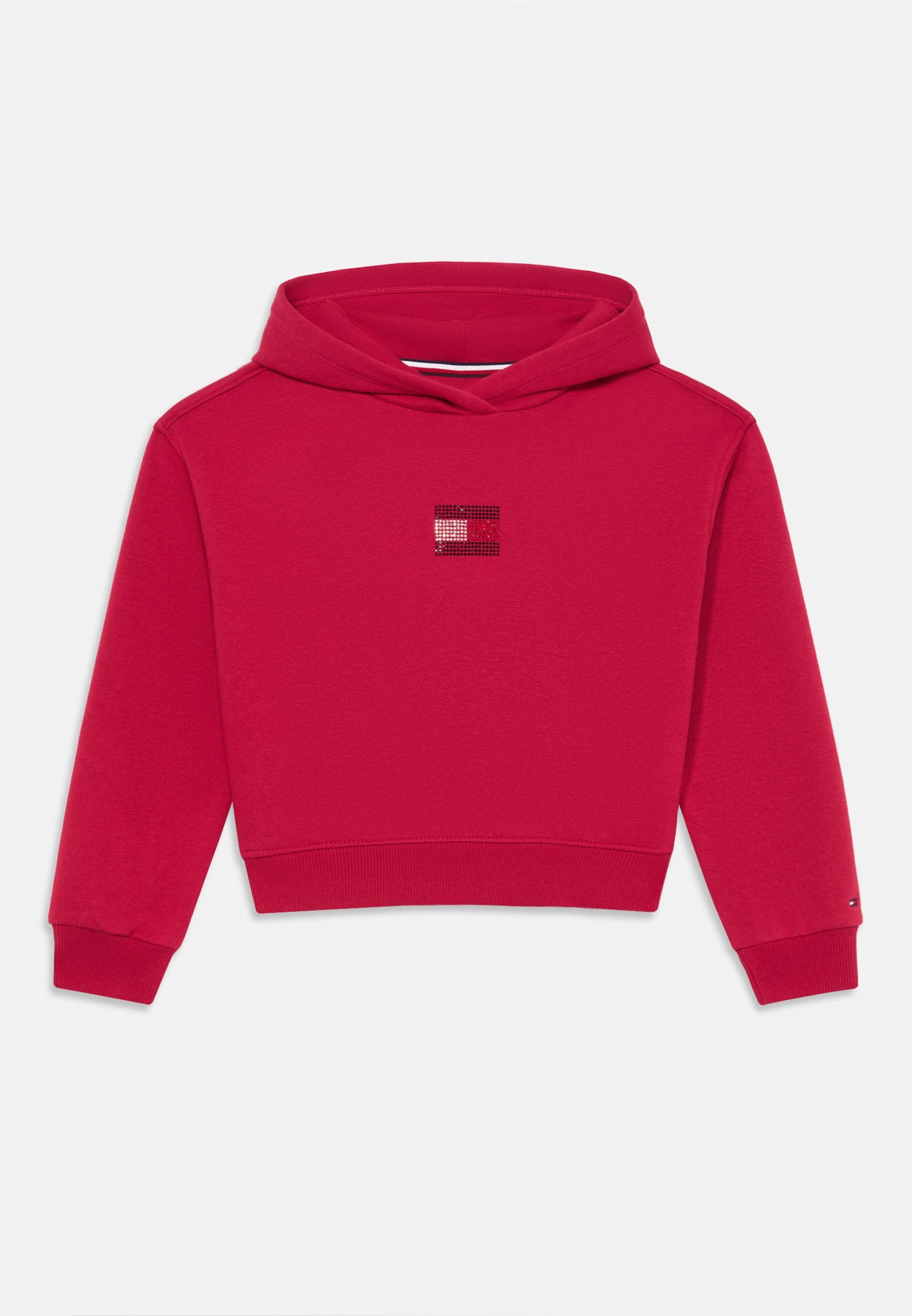 RHINESTONE FLAG HOODIE Media 1