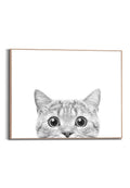Orange Wallz CATS EYES