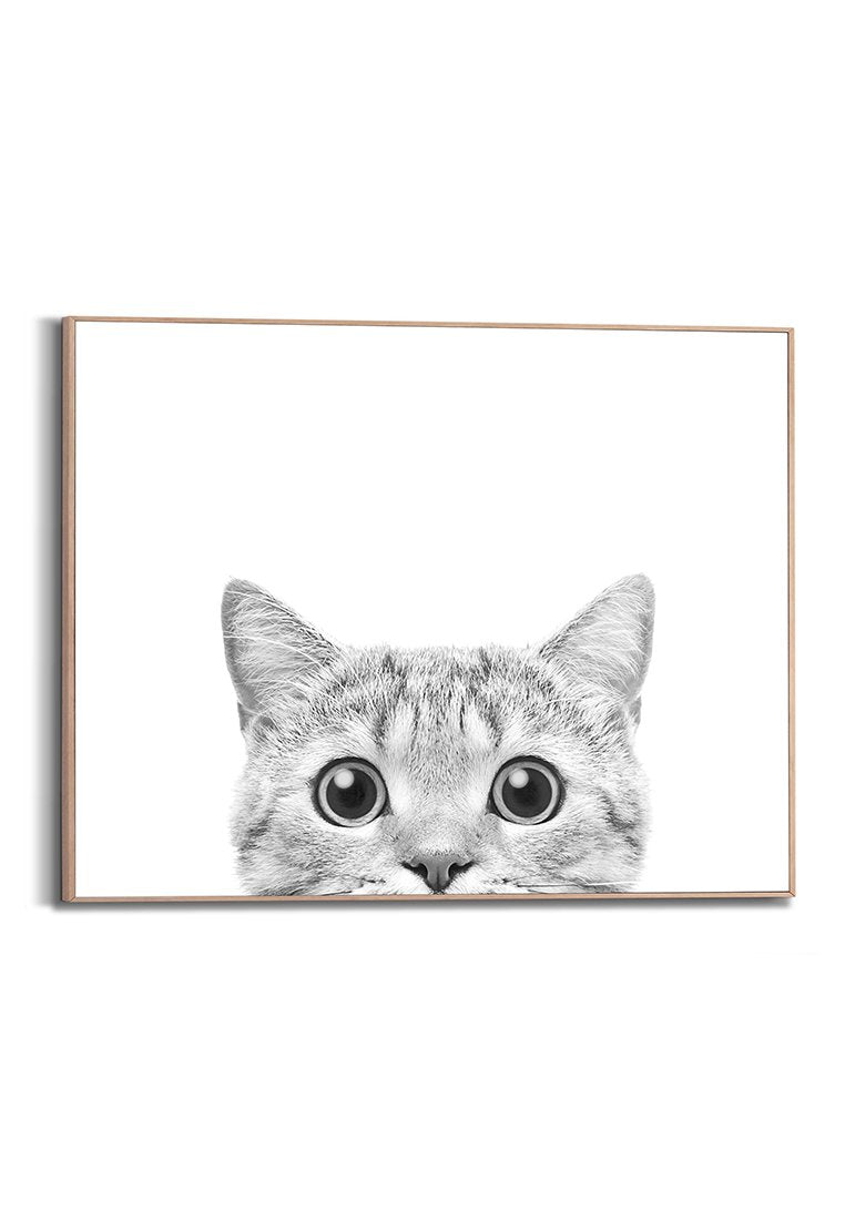 Orange Wallz CATS EYES