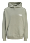 Jack & Jones JORNORREBRO TYPO BACK SWEAT HOOD SN