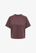 ONLY ONLOFELIA SS RAGLAN UB CC SWT - Basic T-shirt - decadent chocolate