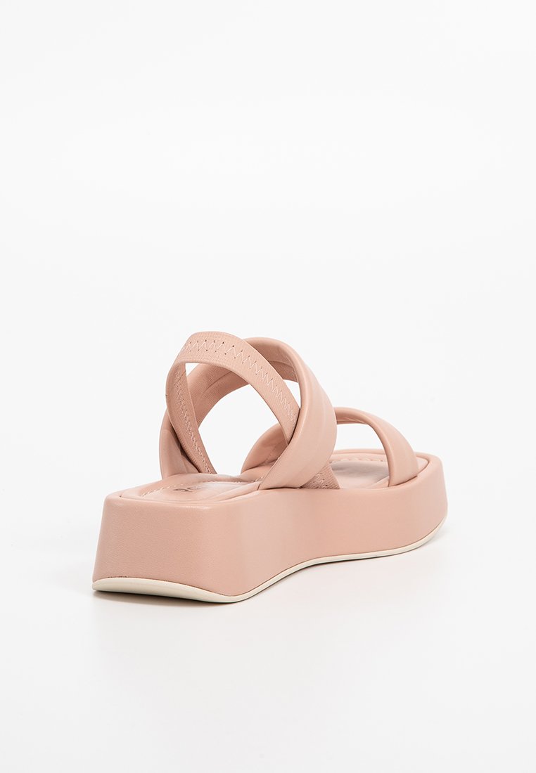 Pollini