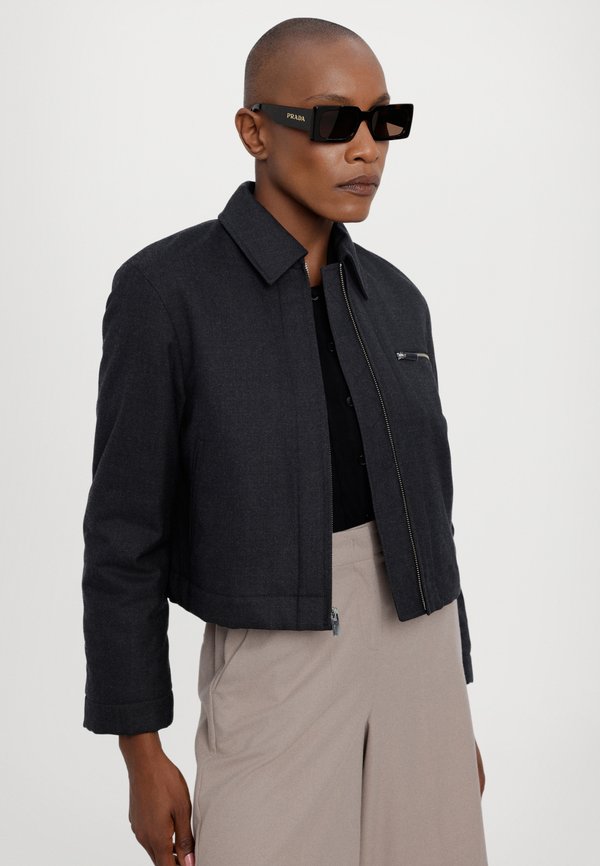 Theory CROP ALINE