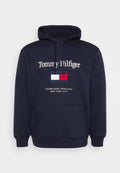 EMBRO FLAG HOODIE Media 1