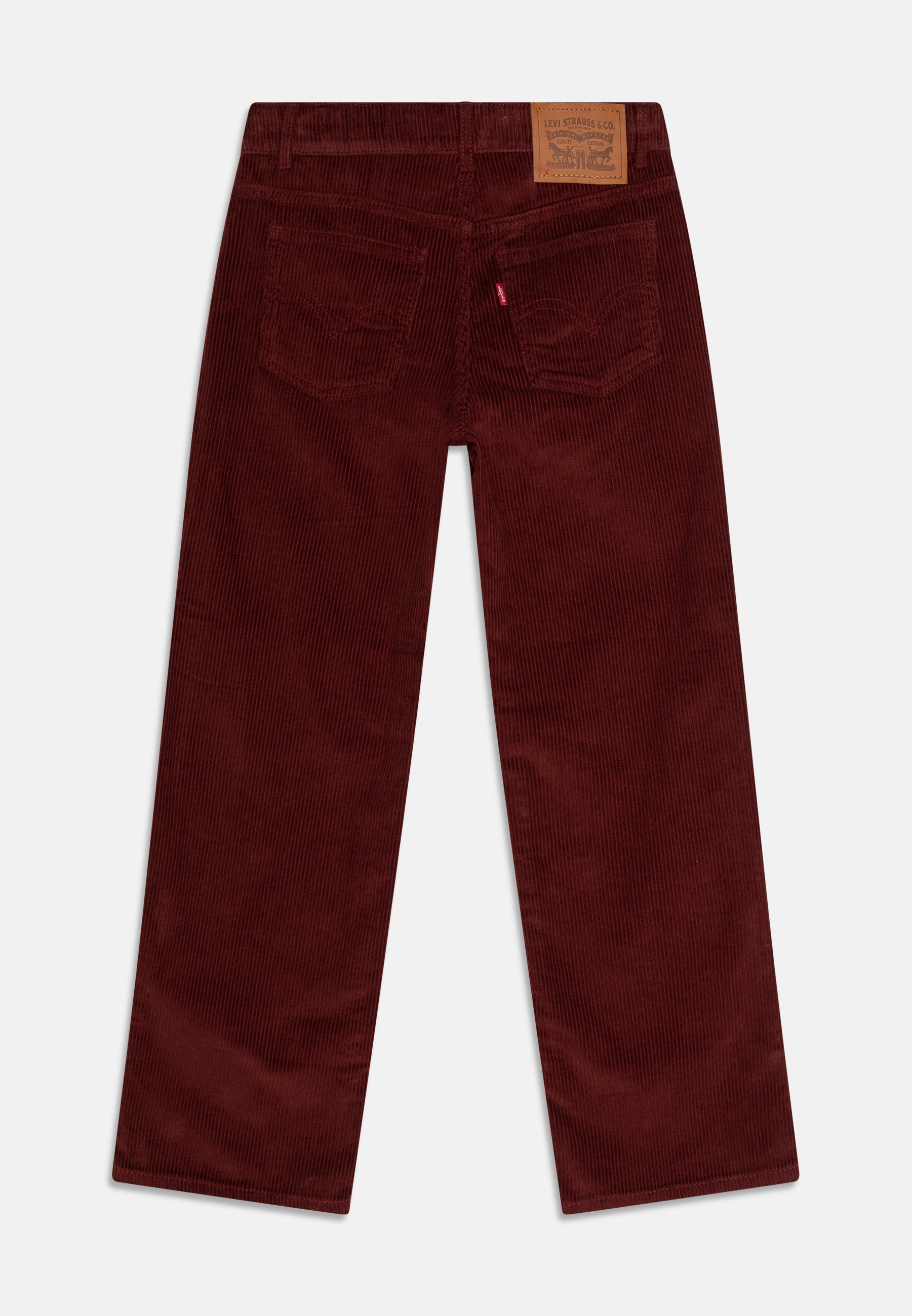 Levi's® BAGGY