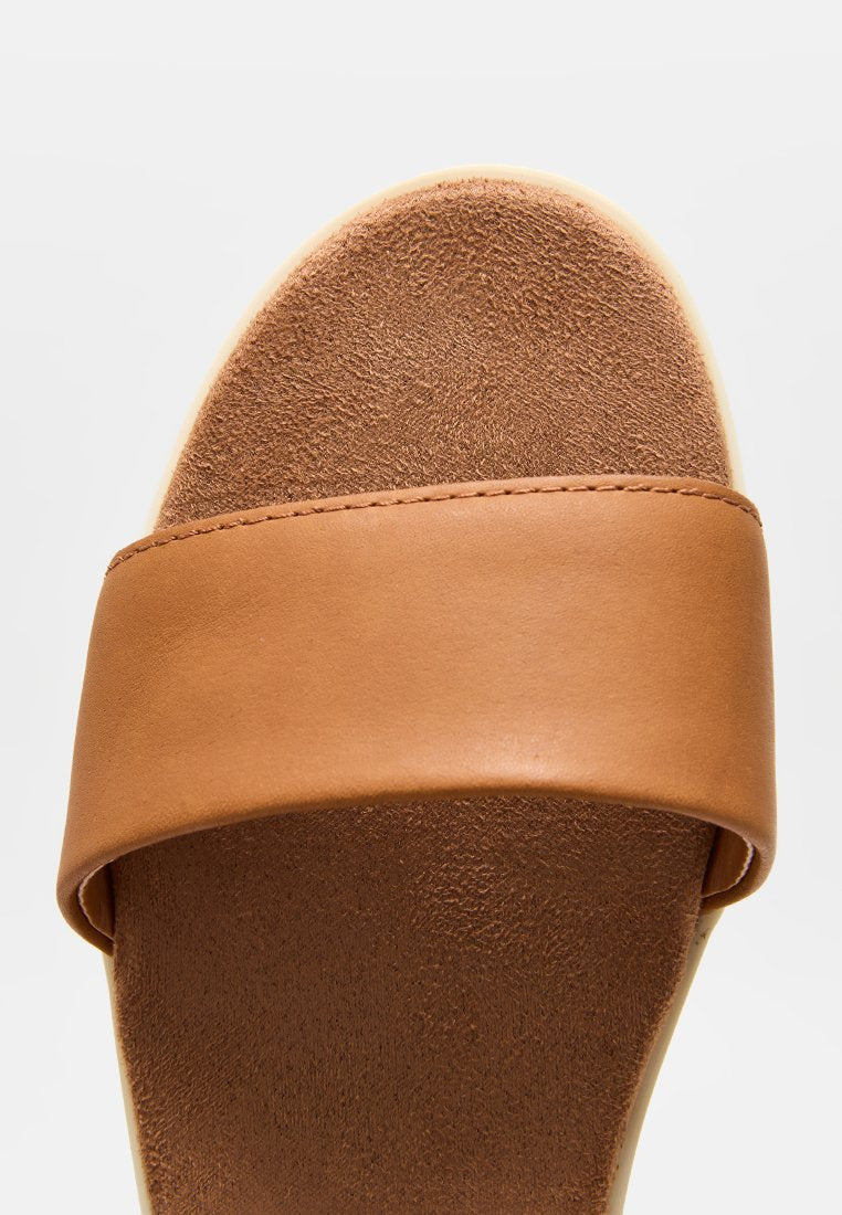 TOMS BRYNN