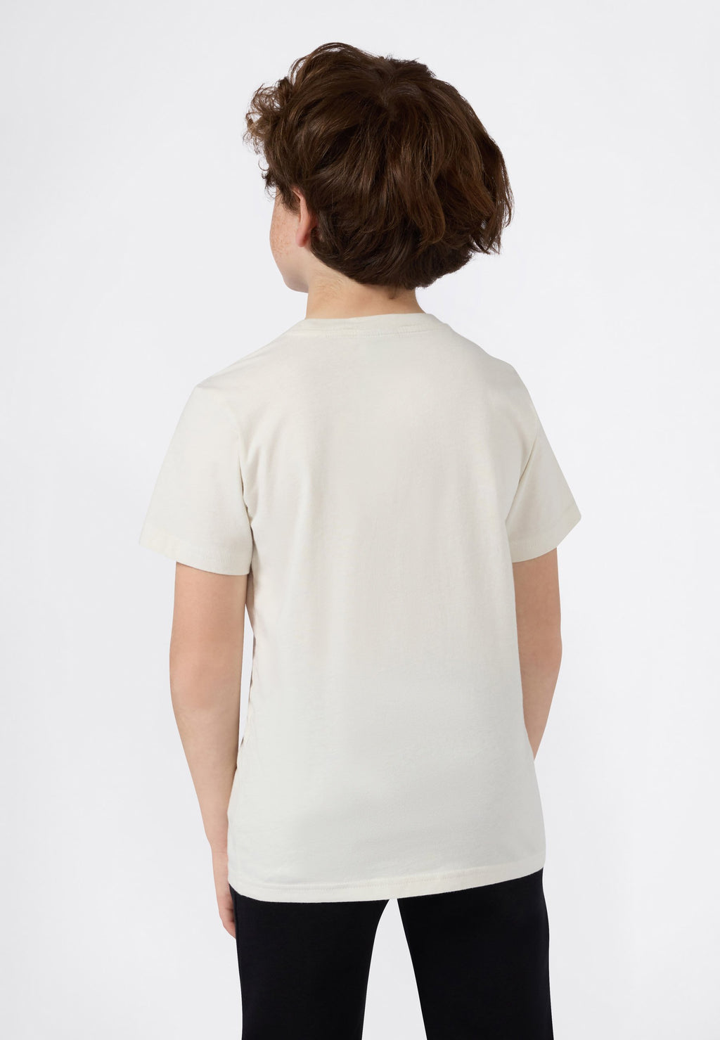 Champion SS ICONS TEE WASH