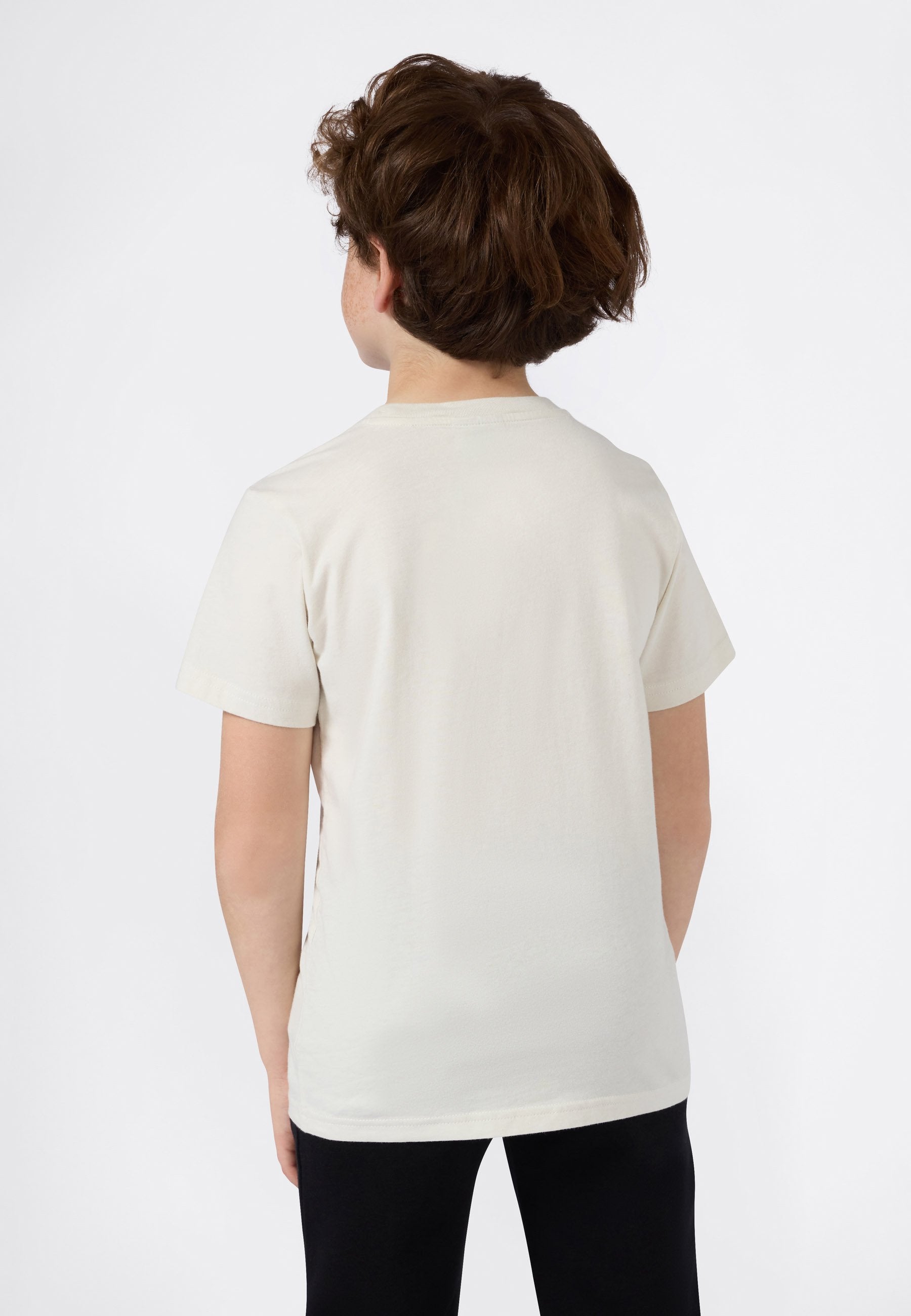 Champion SS ICONS TEE WASH