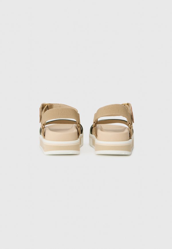 Pollini