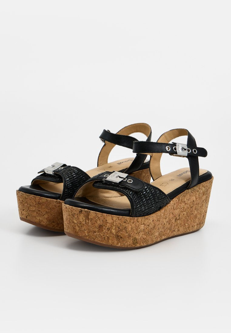 Scholl HOPE