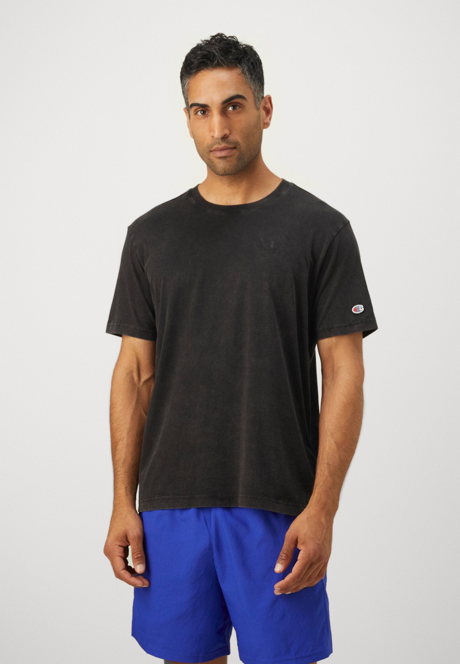 Champion ICONS WASH CREWNECK