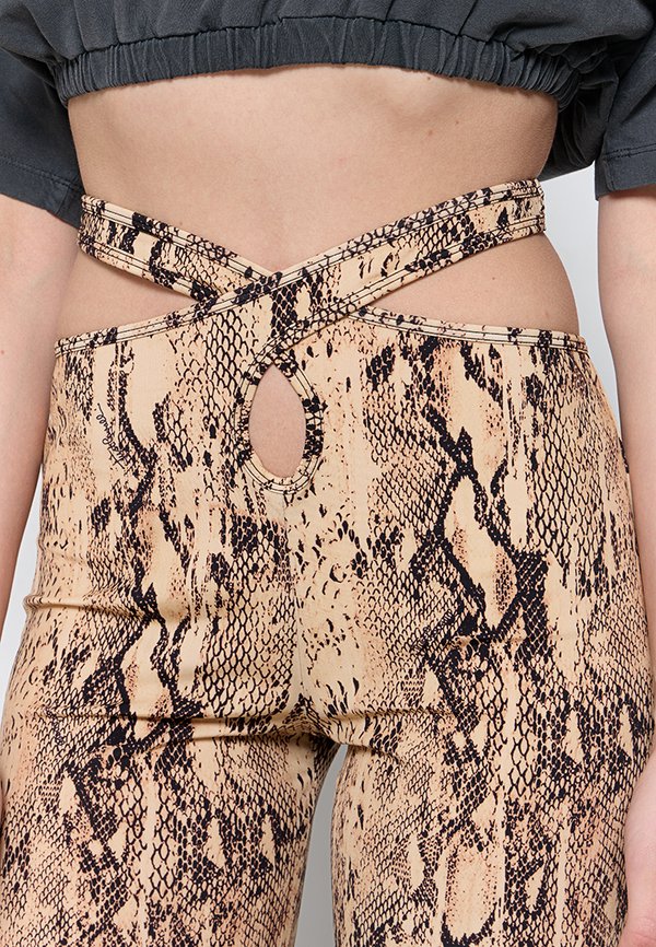 Just Cavalli
