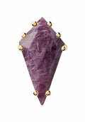 PDPAOLA