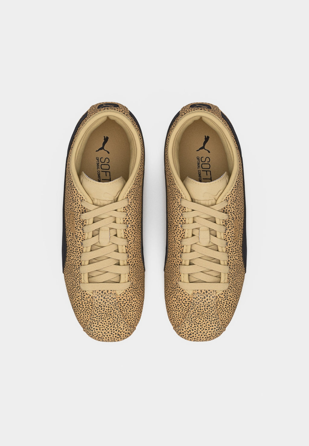Puma TACKLE TOPCAT
