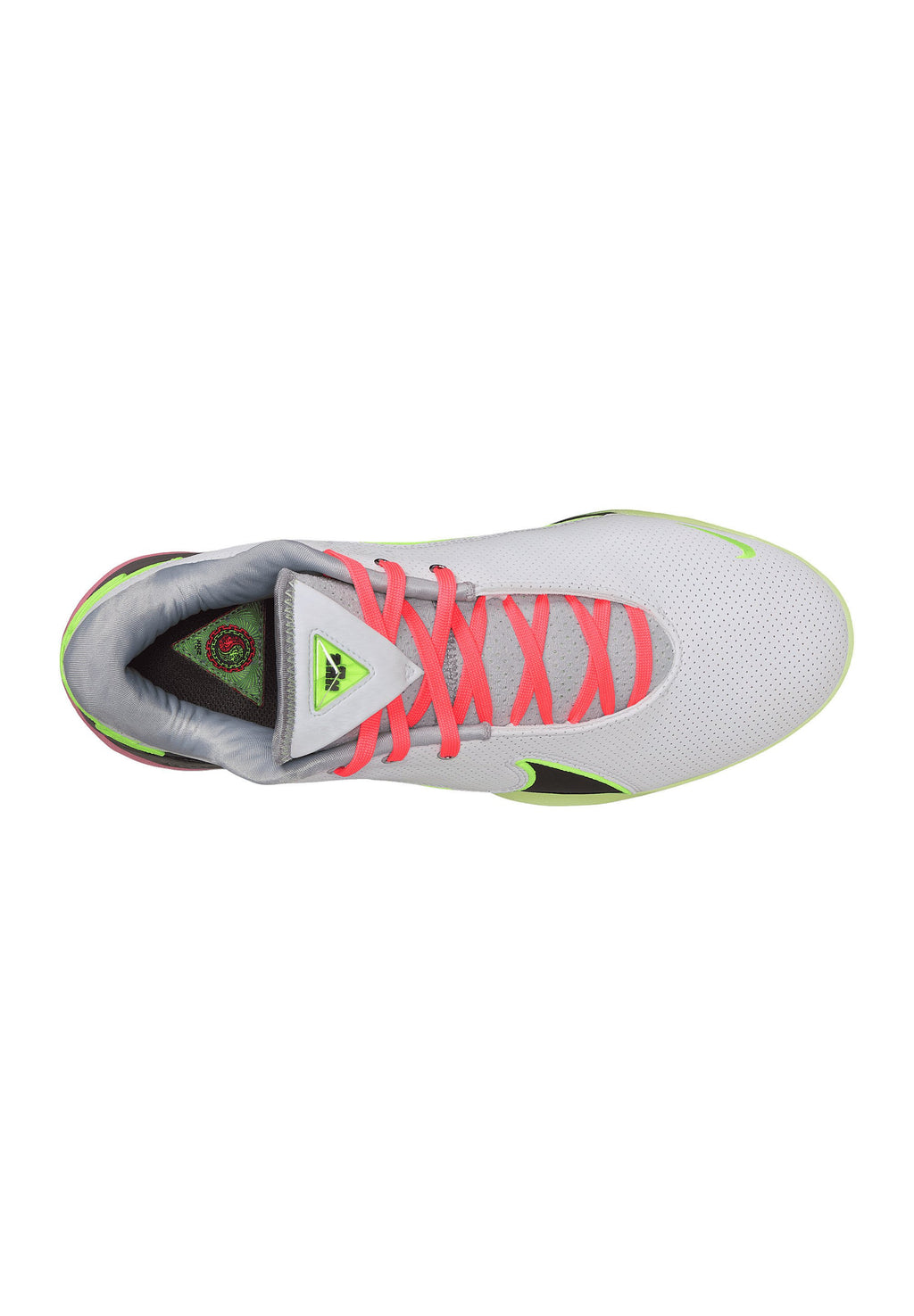 Nike Performance LEBRON