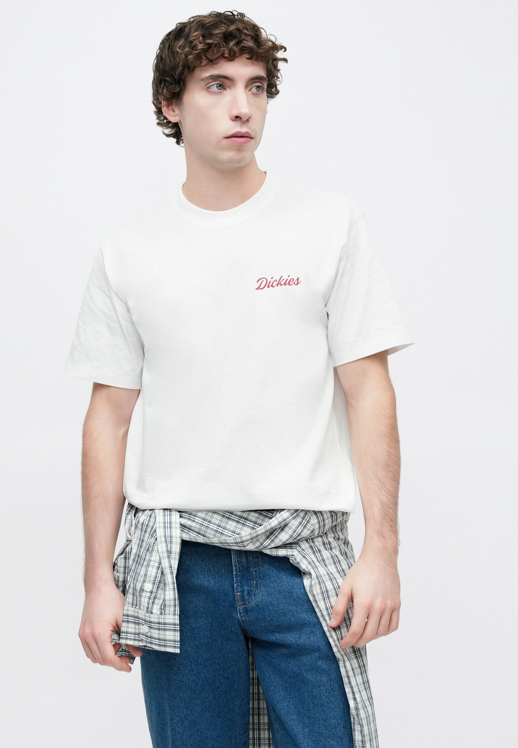 Dickies WELLSVILLE TEE