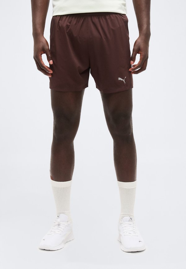 Puma RUN VELOCITY - Sports shorts - chocolate brown