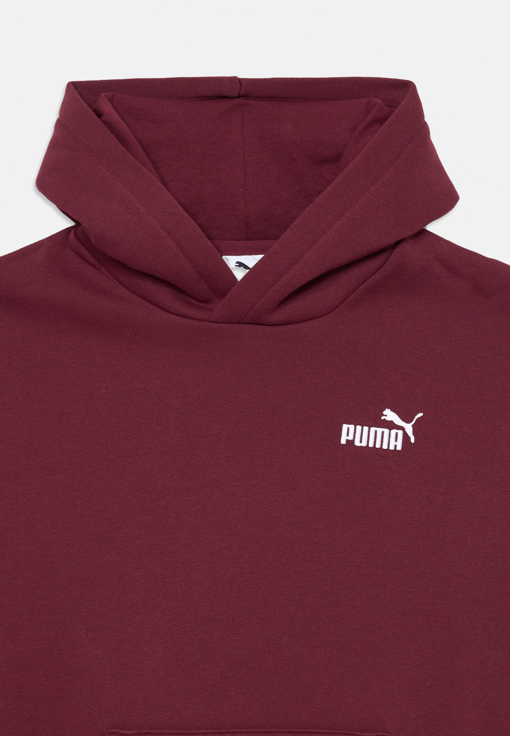 Puma SMALL LOGO RELAXED HOODIE