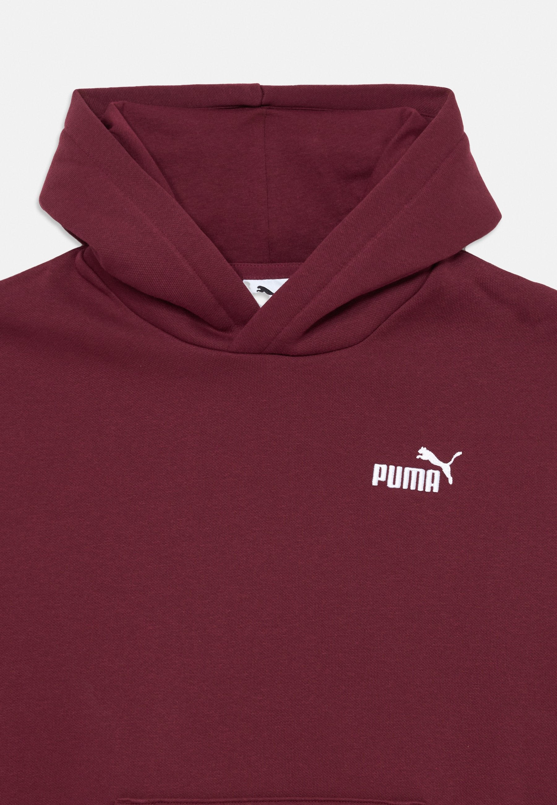 Puma SMALL LOGO RELAXED HOODIE