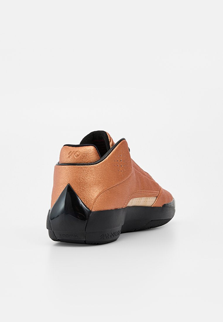 Jordan AIR JORDAN 40