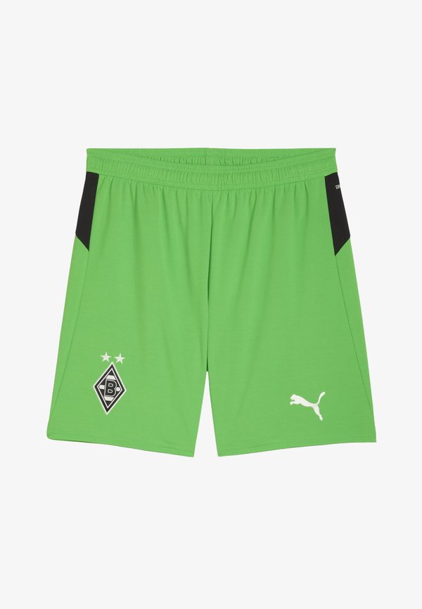 Puma BMG REPLICA - Club wear - green-warm white