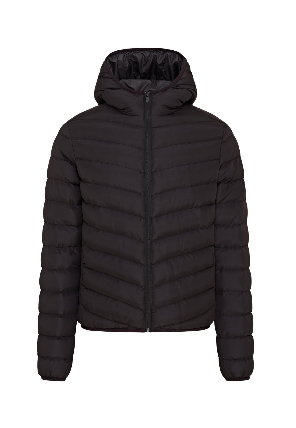 Brave Soul GRANTPLAIN TRANSITIONAL JACKET SLIM FIT
