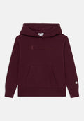 ICONS HOODIE Media 1