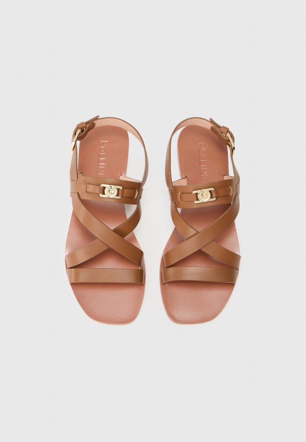 Pollini