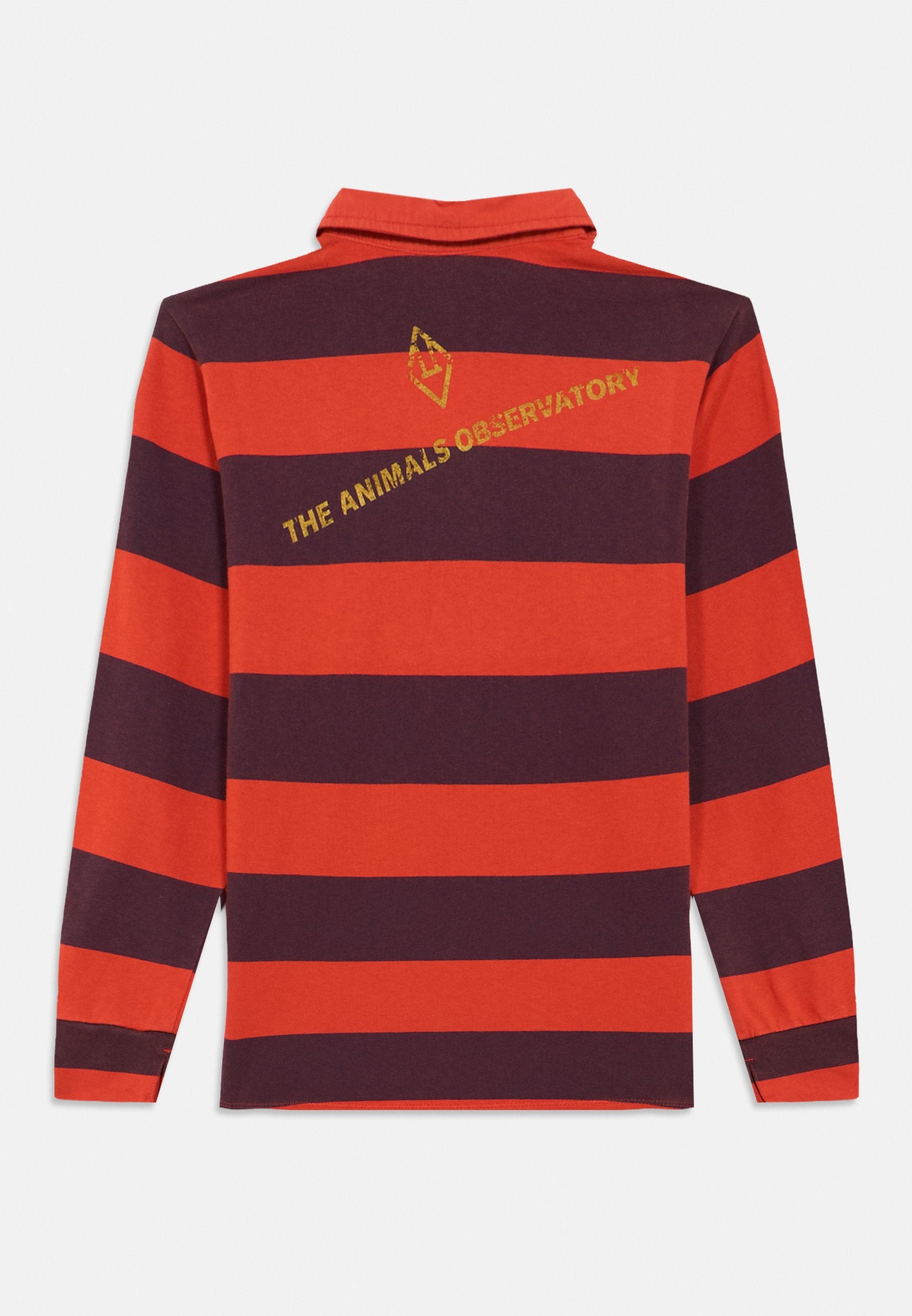 THE ANIMALS OBSERVATORY EEL UNISEX