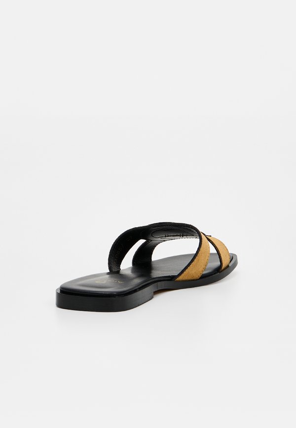 AIGNER LARA