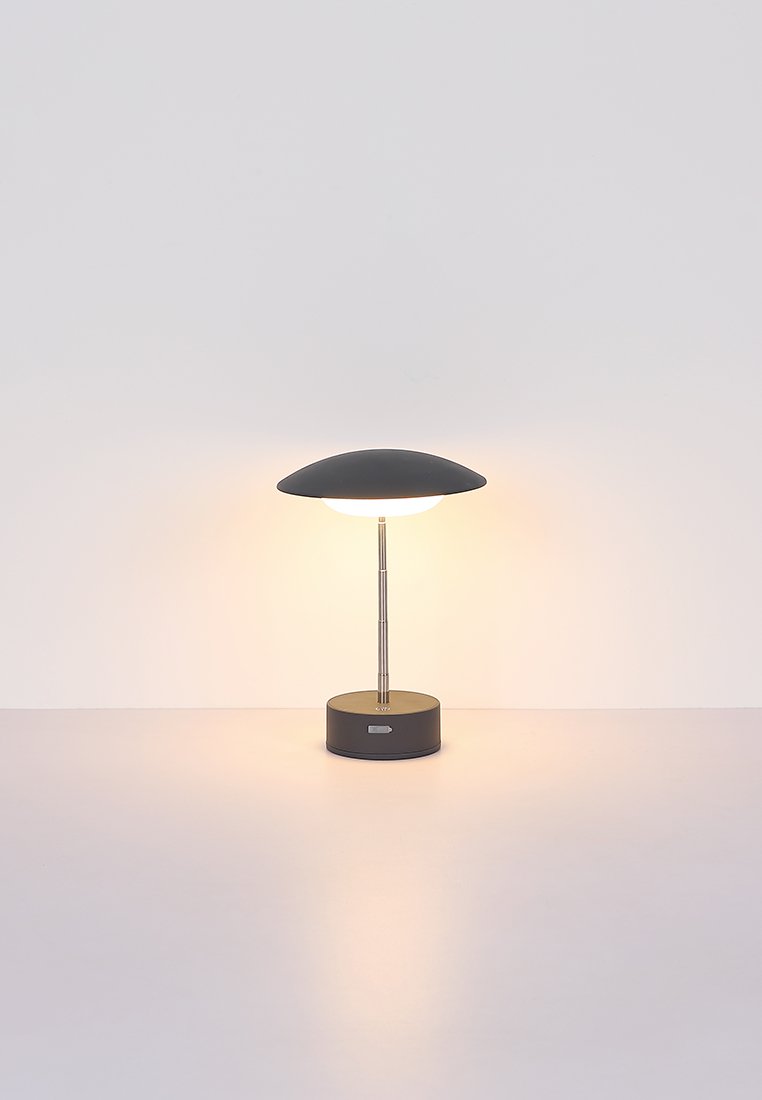 GLOBO Lighting TOMO