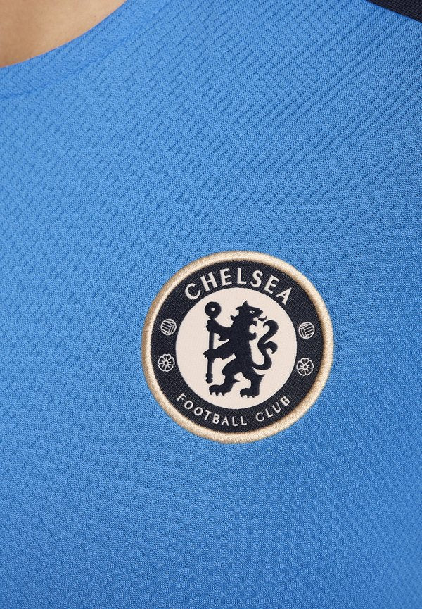 Nike Performance CHELSEA LONDON STRIKE
