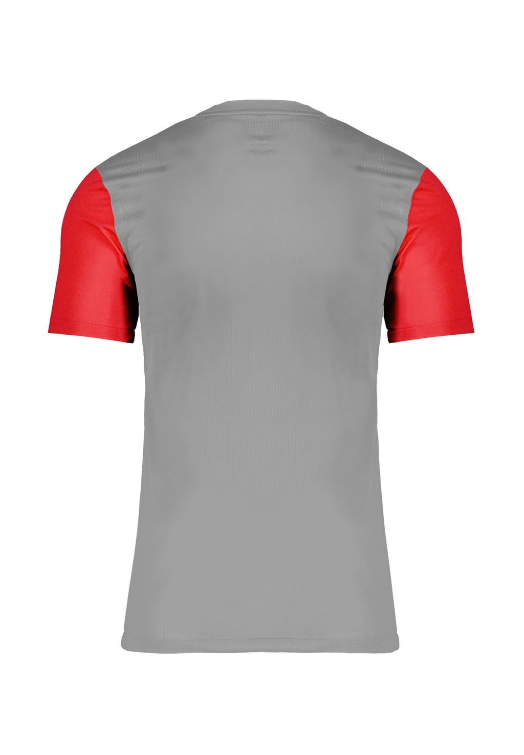 Nike Performance FUSSBALL - TEAMSPORT - TROPHY V T