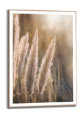 Orange Wallz EVENING GRASS