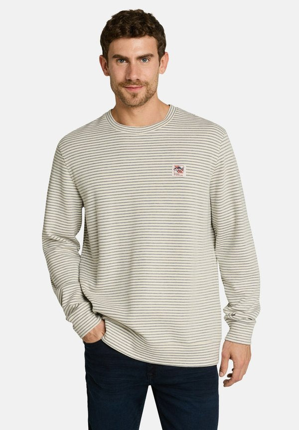 TOM TAILOR LANGARMSHIRT MIT STREIFENMUSTER - Long sleeved top - offwhite structured stripe