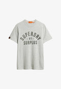 Superdry & Co Print T-shirt - surplus grey grindle