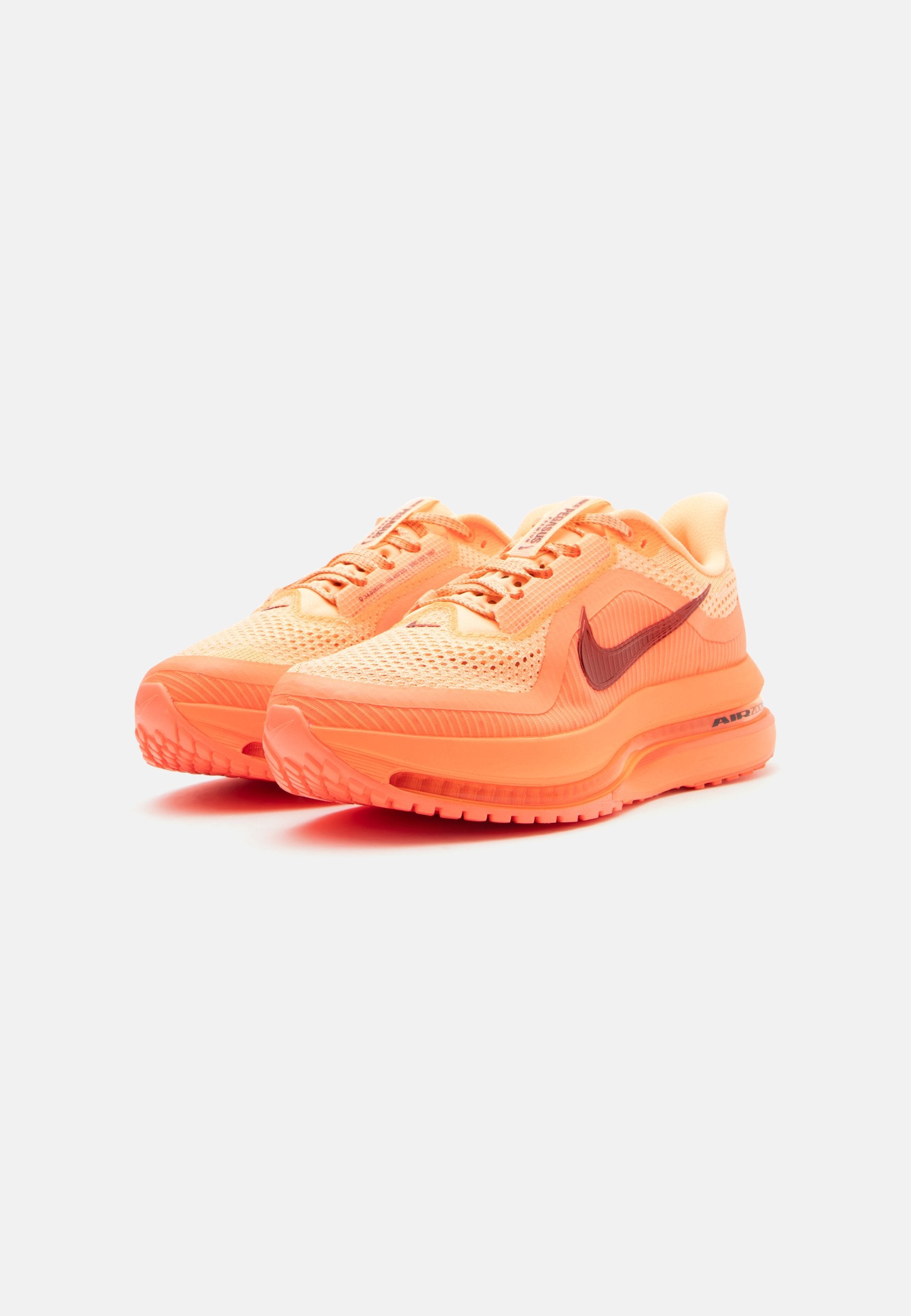 Nike Performance PEGASUS PREMIUM