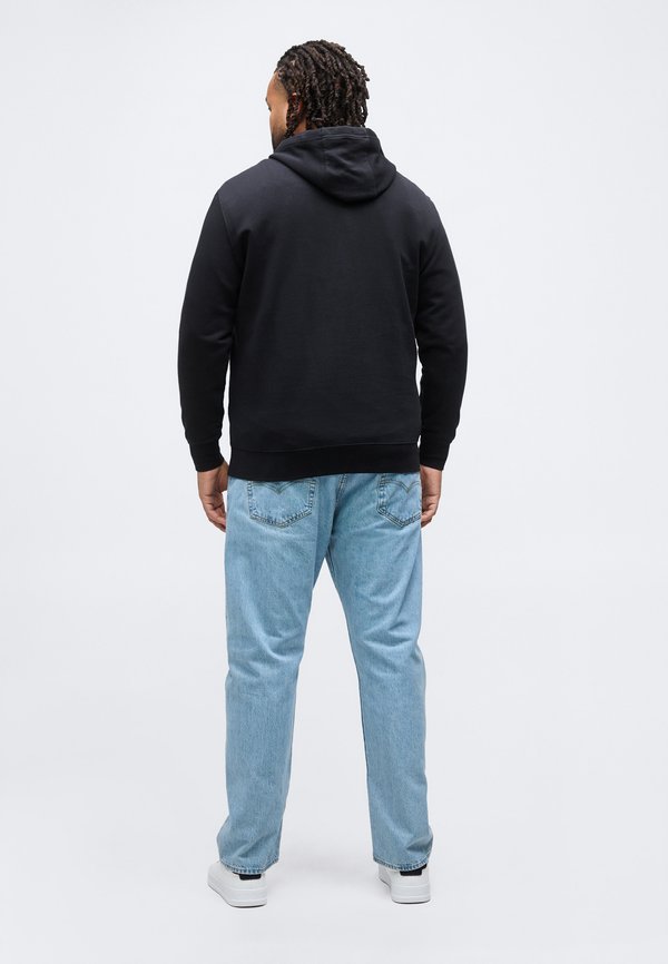 Tommy Hilfiger PLUS LOGO TERRY DRAWSTRING HOODY