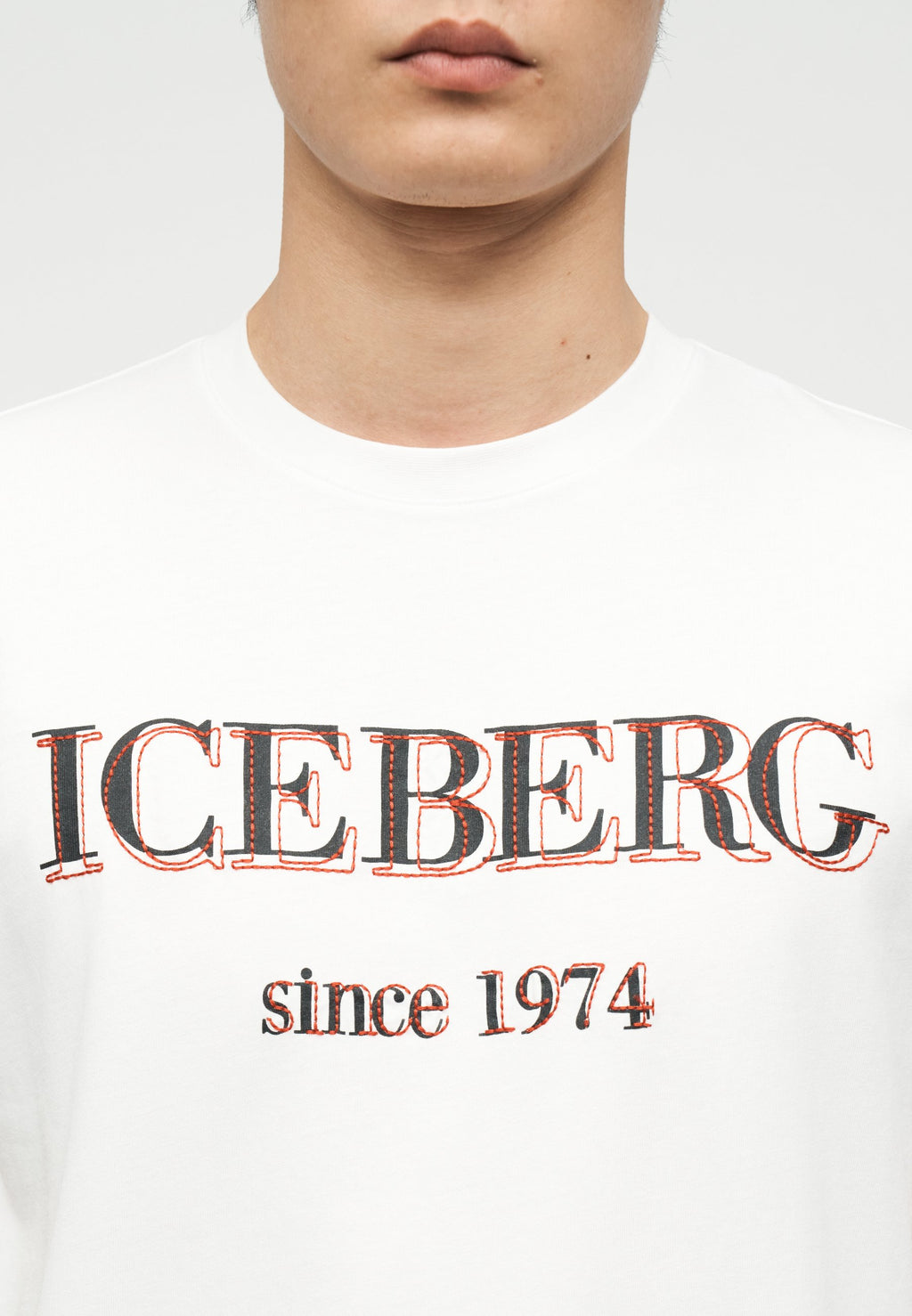 Iceberg