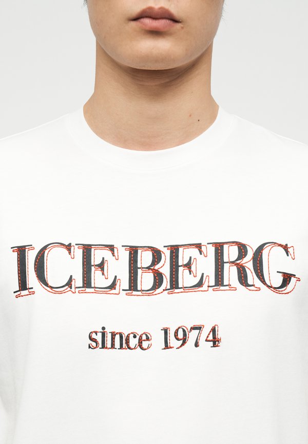 Iceberg