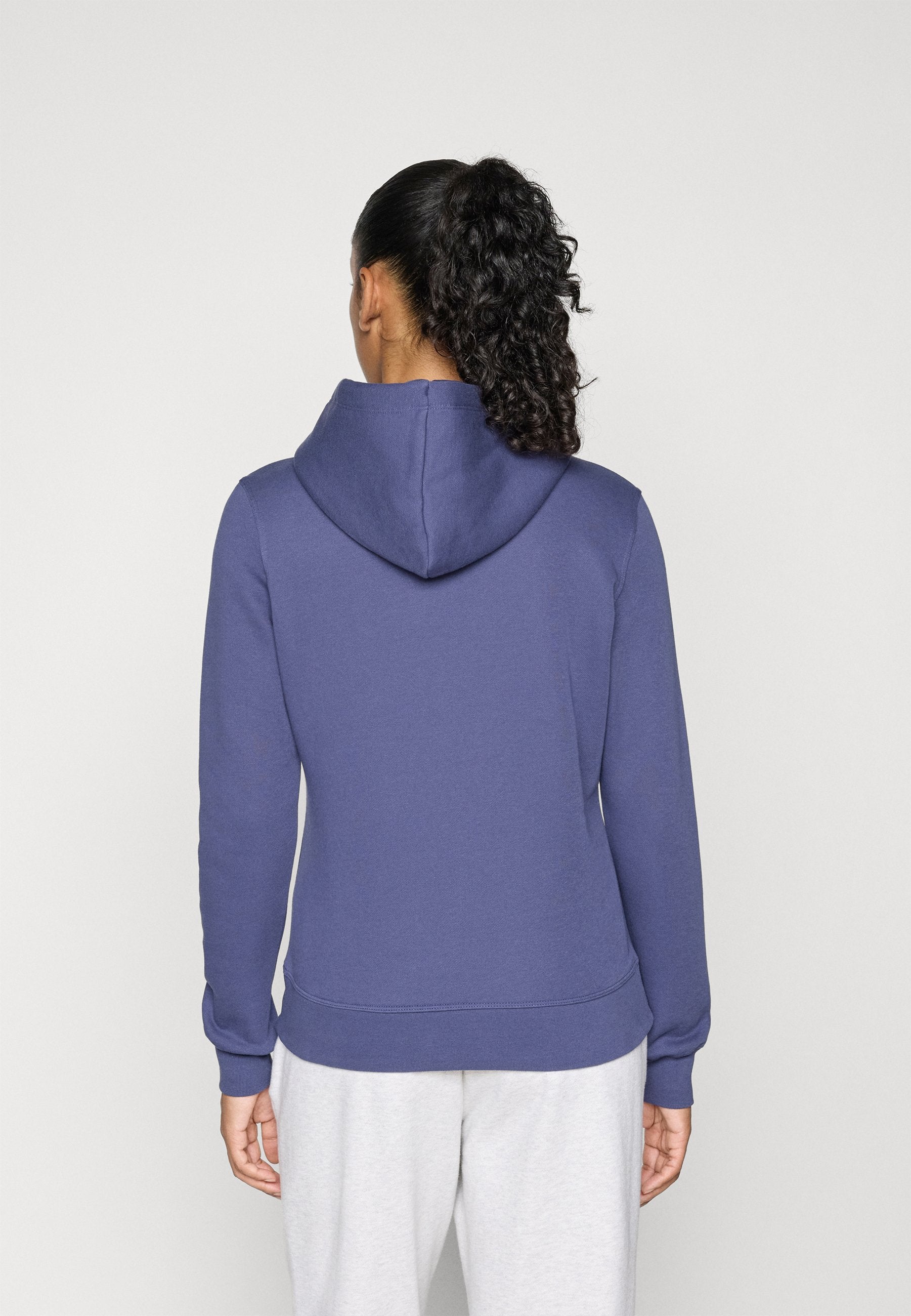 Champion ICONS TONAL HOODIE
