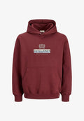 Jack & Jones JORFREDERIKSBERG GRAPHIC BOX SWEAT H PLS - Hoodie - chocolate truffle