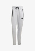 adidas Performance Tracksuit bottoms - grau
