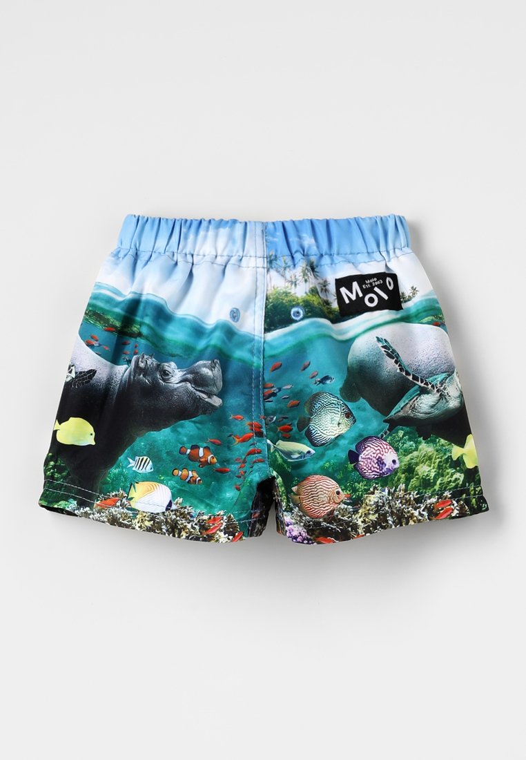 Molo NEWTON TRUNKS BABY