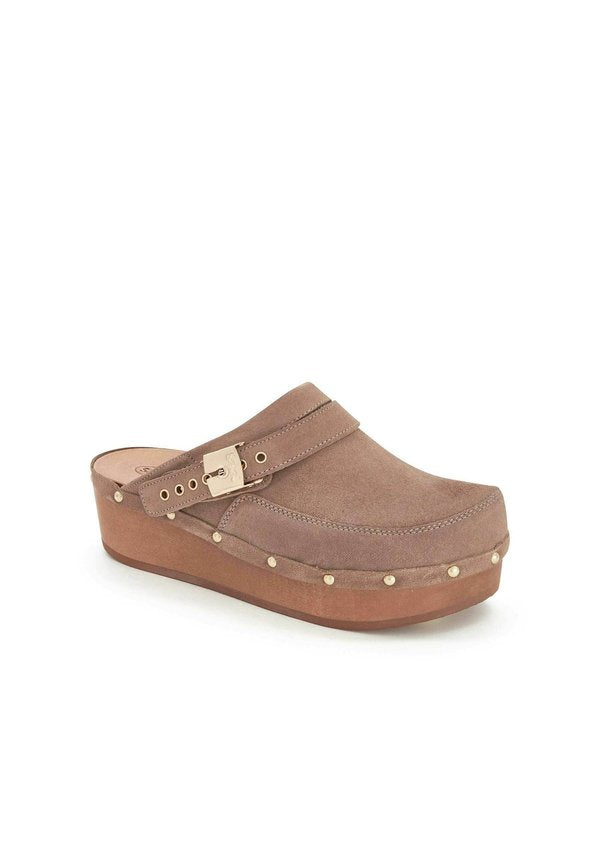 Scholl  WITHNEY
