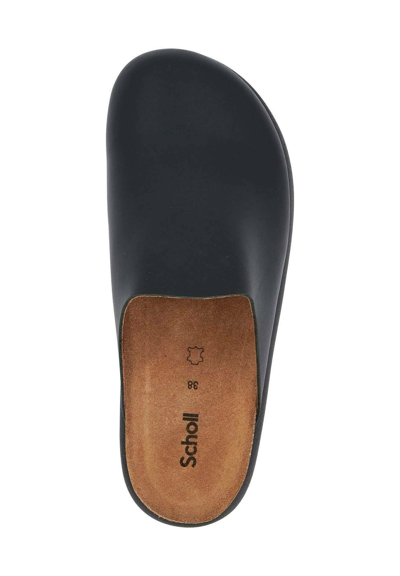 Scholl  IVY 2.0