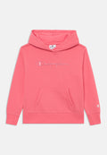 ICONS HOODIE Media 1